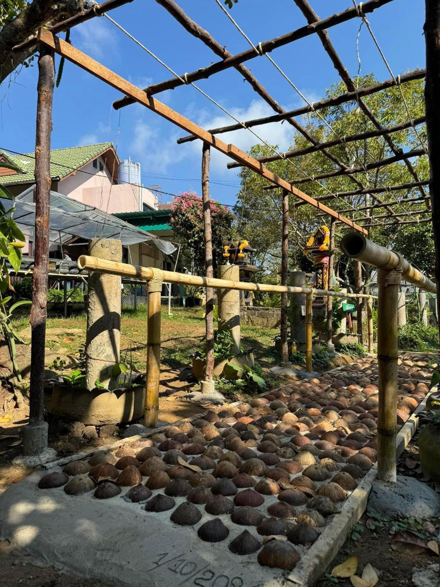 Greenheart Garden View Camp Phuket Kata Beach  Exterior photo